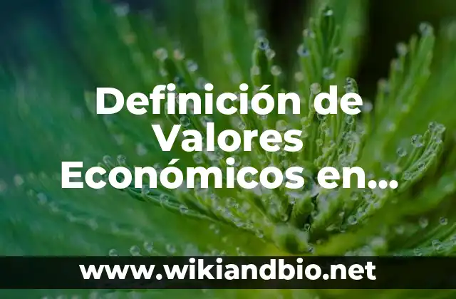 Definición Técnica de Valores Económicos en Ética
