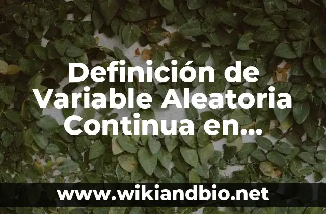 Definición de Variable Aleatoria Continua en Estadística según Autor, ejemplos, qué es, Concepto y Significado