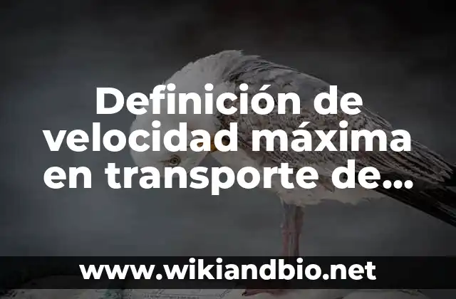 Definición técnica de velocidad máxima en transporte de movimiento