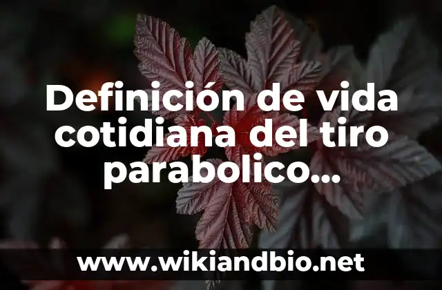 Definición de vida cotidiana del tiro parabolico horizontal: según Autor, Ejemplos, qué es, Concepto y Significado