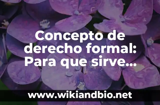 Concepto de derecho formal: Para que sirve, ejemplos y autores