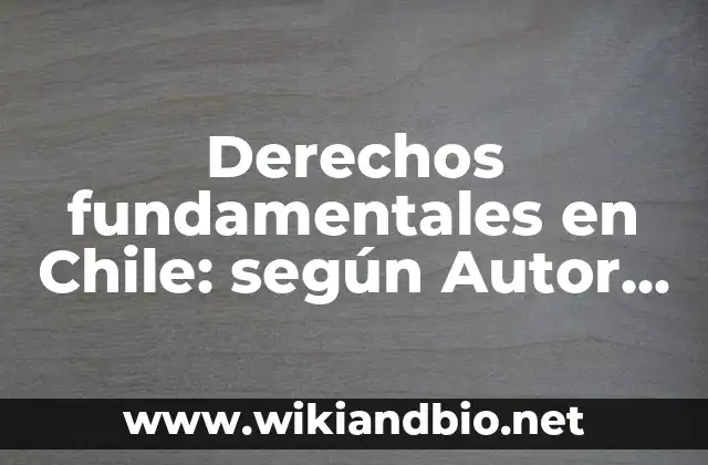 Derechos fundamentales en Chile: según Autor, Ejemplos, qué es, Concepto y Significado