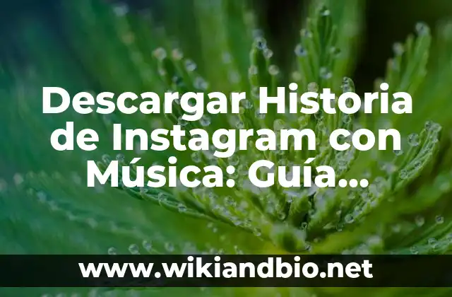 ¿Por qué descargar historias de Instagram con música?