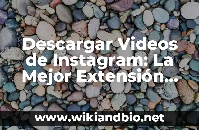Descargar Videos de Instagram: La Mejor Extensión para Guardar Contenido
