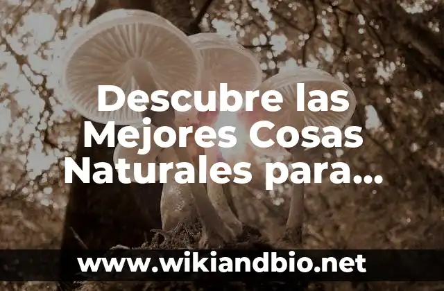 Descubre las Mejores Cosas Naturales para Bajar la Tensión