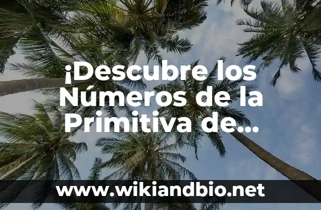 ¡Descubre los Números de la Primitiva de Anoche! – Resultados de Lotería Primitiva