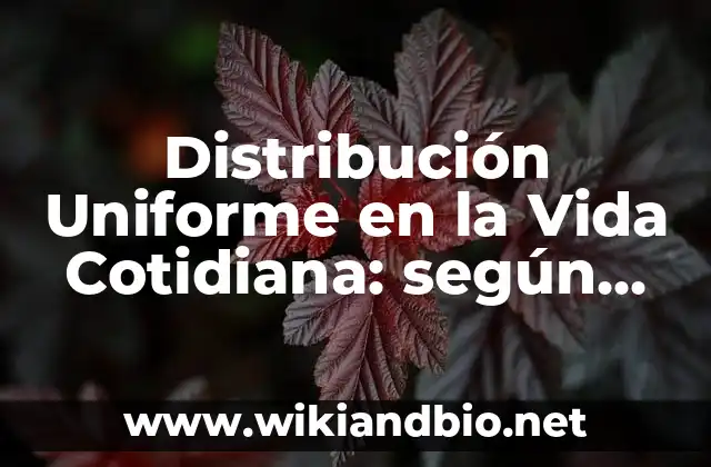 Distribución Uniforme en la Vida Cotidiana: según Autor, Ejemplos, qué es, Concepto y Significado
