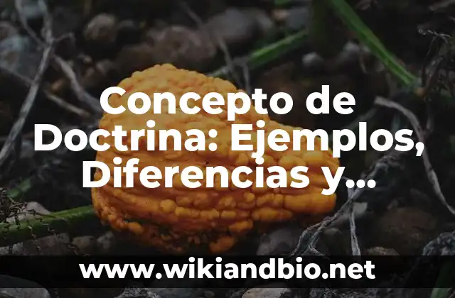 Concepto de Doctrina: Ejemplos, Diferencias y Definiciones 2 📗 Concepto de Doctrina