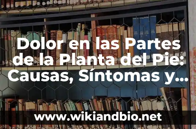 Anatomía de la Planta del Pie