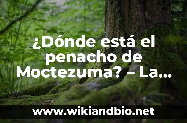 ¿Dónde está el penacho de Moctezuma? – La Búsqueda del Tesoro Azteca