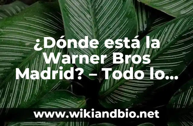 ¿Dónde está la Warner Bros Madrid? – Todo lo que necesitas saber