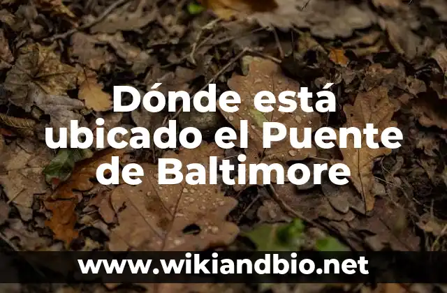 Dónde está ubicado el Puente de Baltimore