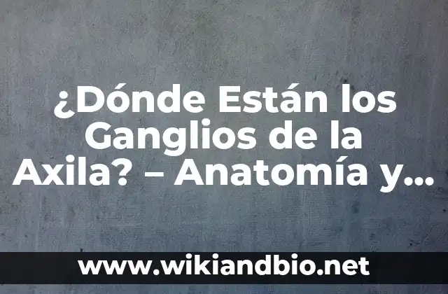 ¿Dónde Están los Ganglios de la Axila? – Anatomía y Función