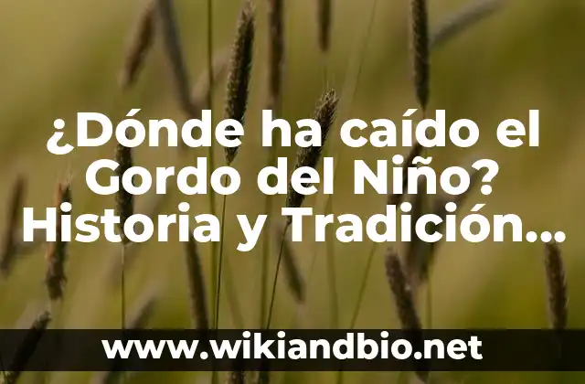 ¿Dónde ha caído el Gordo del Niño? Historia y Tradición del Sorteo de Navidad