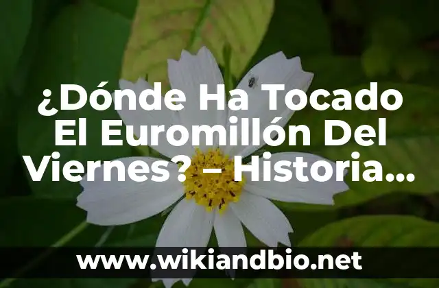 ¿Dónde Ha Tocado El Euromillón Del Viernes? – Historia y Resultados