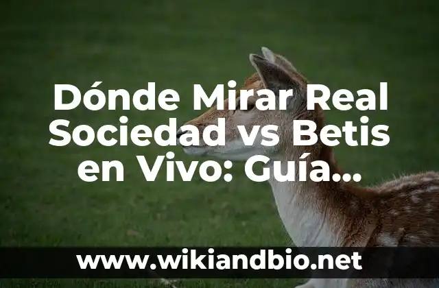 Contexto del Partido: Real Sociedad vs Betis