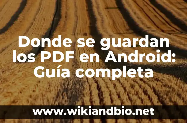 Donde se guardan los PDF en Android: Guía completa