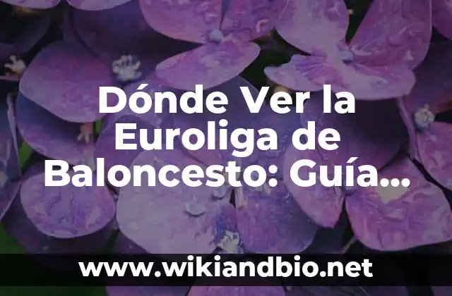Dónde Ver la Euroliga de Baloncesto: Guía Completa para Seguir la Competición
