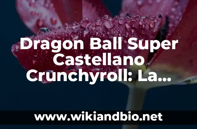 Dragon Ball Super Castellano Crunchyroll: La Última Aventura de Goku
