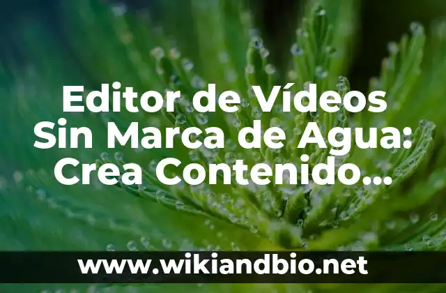 Editor de Vídeos Sin Marca de Agua: Crea Contenido Profesional sin Restricciones