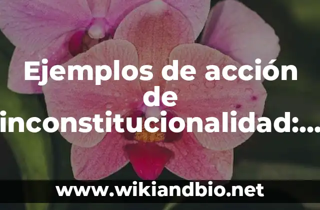 Ejemplos de acción de inconstitucionalidad: Definición según Autor, ¿qué es?