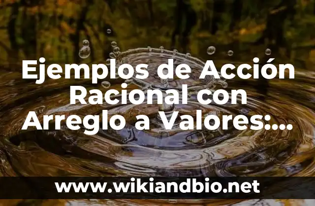 Ejemplos de Acción Racional con Arreglo a Valores