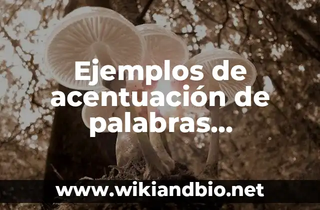 Ejemplos de acentuación de palabras compuestas sin guion: Definición según