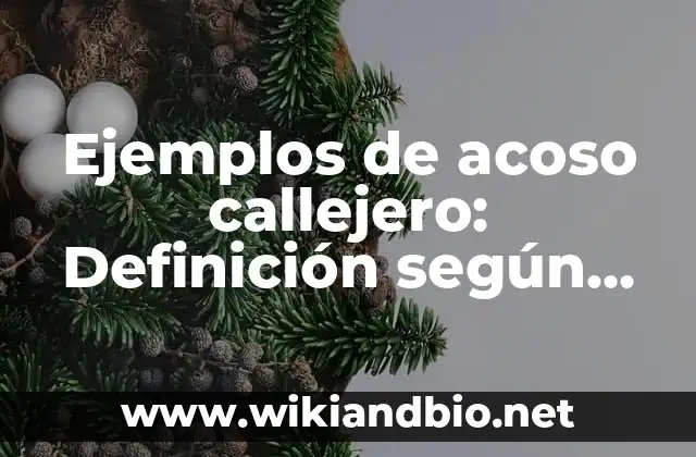 Ejemplos de acoso callejero: Definición según Autor, qué es, Concepto