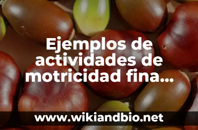 Ejemplos de actividades de motricidad fina para preescolar tres: Definición