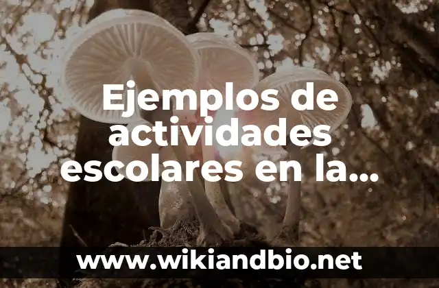 Ejemplos de actividades escolares en la educación a distancia: Definición