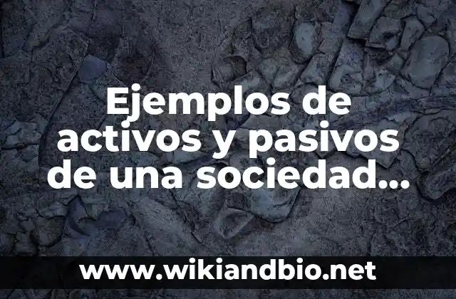 Ejemplos de activos de una sociedad civil