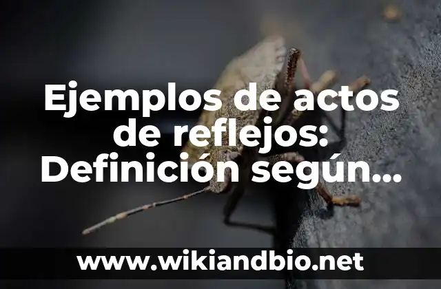 Ejemplos de actos de reflejos: Definición según Autor, qué es, Concepto y Significado