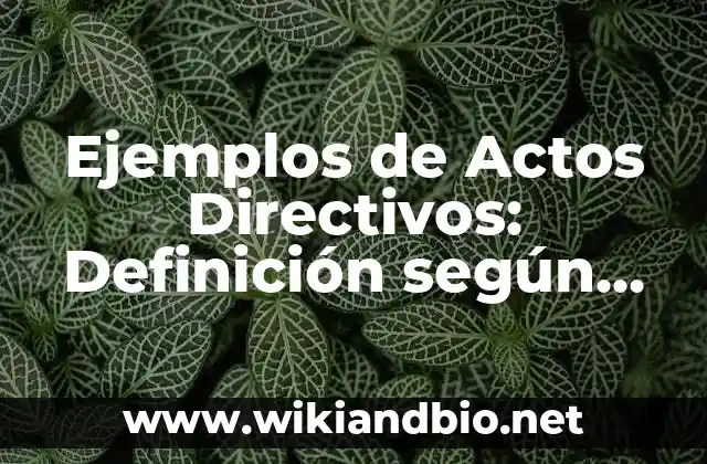 Ejemplos de Actos Directivos: Definición según Autor, qué es, Concepto