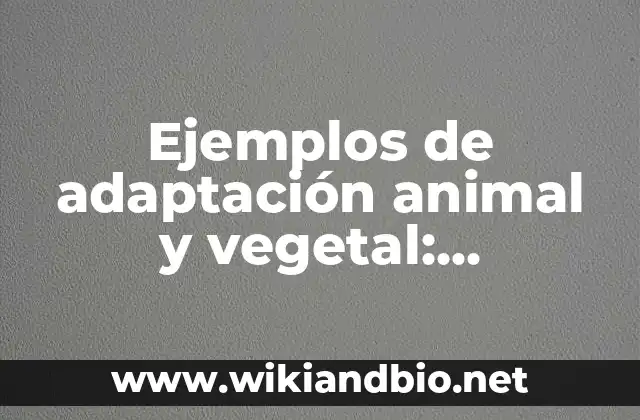 Ejemplos de adaptación animal y vegetal
