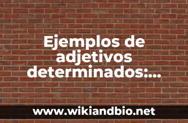 Ejemplos de adjetivos determinados
