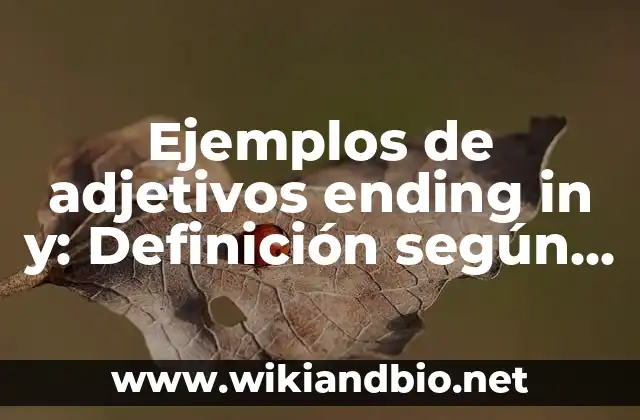 Ejemplos de adjetivos ending in y: Definición según Autor, qué es, Concepto