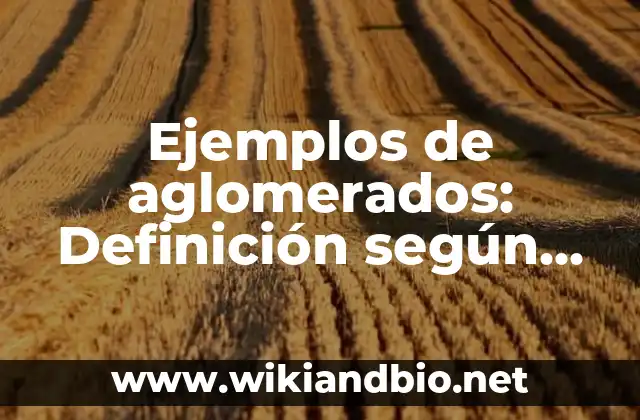 Ejemplos de aglomerados: Definición según Autor, qué es, Concepto