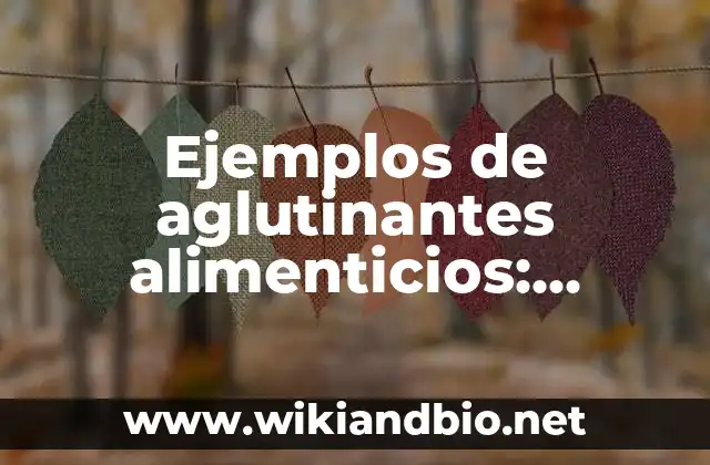 Ejemplos de aglutinantes alimenticios: Definición según Autor, ¿qué es?
