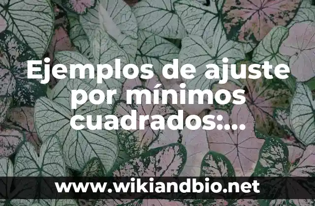 Ejemplos de ajuste por mínimos cuadrados: Definición según Autor, ¿qué es?