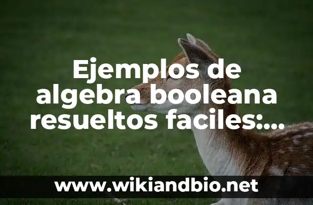 Ejemplos de algebra booleana resueltos faciles: Definición según Autor, qué es, Concepto y Significado