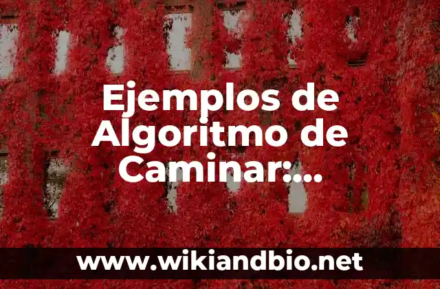 Ejemplos de Algoritmo de Caminar: Definición según Autor, qué es, Concepto y Significado