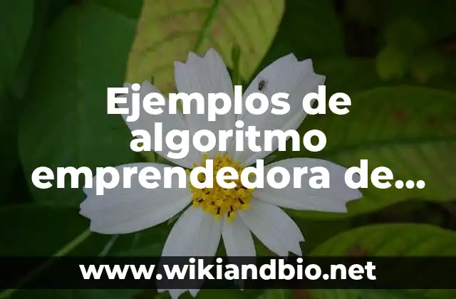 Ejemplos de algoritmo emprendedora de golosinas: Definición según Autor