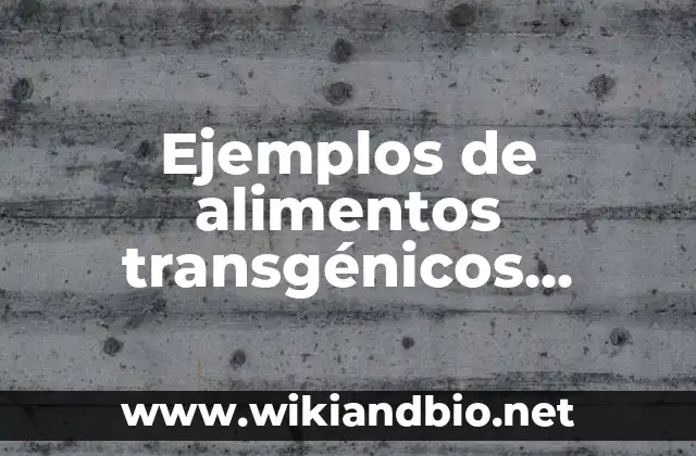 Ejemplos de alimentos transgénicos calabaza: Definición según Autor, qué
