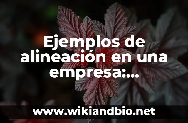 Ejemplos de alineación en una empresa: Definición según Autor, ¿qué es?