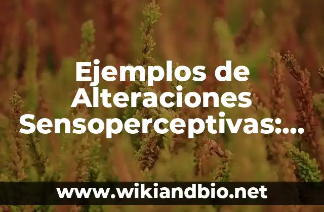 Ejemplos de Alteraciones Sensoperceptivas: Definición según Autor, ¿qué es?