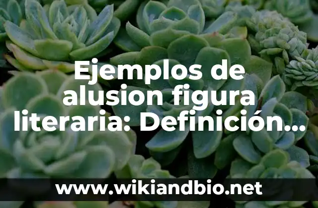 Ejemplos de alusion figura literaria: Definición según Autor, ¿qué es?