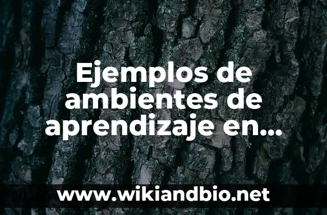 Ejemplos de ambientes de aprendizaje en ciencias naturales: Definición