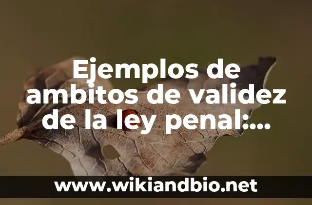 Ejemplos de ambitos de validez de la ley penal: Definición según Autor, qué