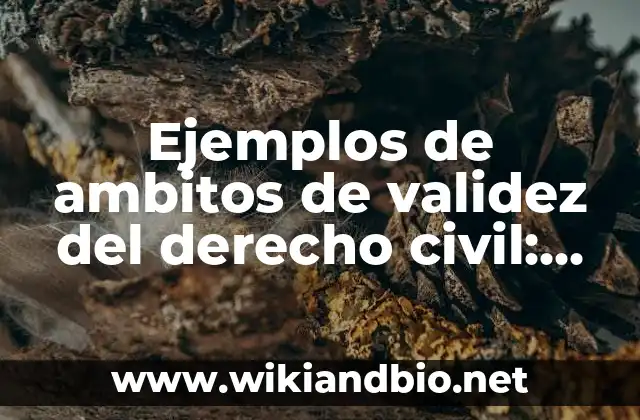Ejemplos de ambitos de validez del derecho civil: Definición según Autor