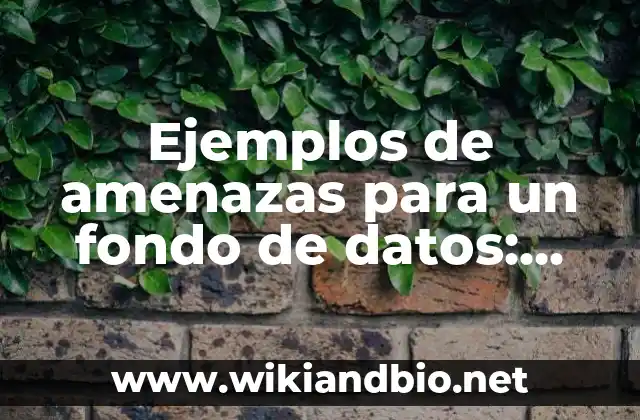 Ejemplos de amenazas para un fondo de datos: Definición según Autor, qué